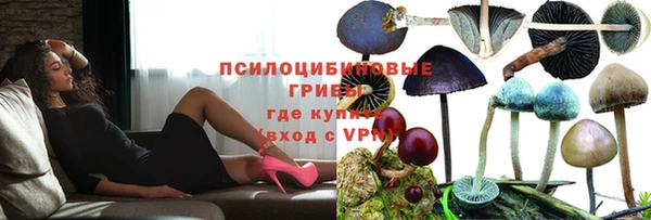 скорость mdpv Белокуриха