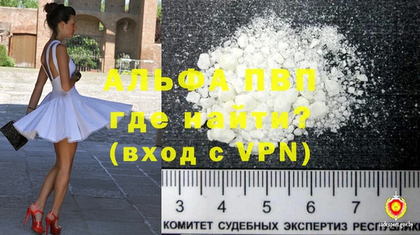 молекула духа Няндома